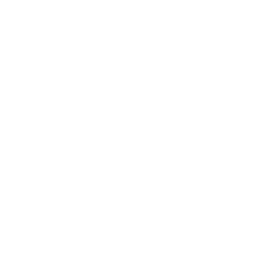 white Rustici driver icon