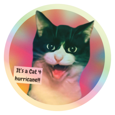 Cat 4 Hurricane sticker